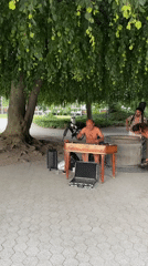 Dulcimer session and lakeside ducks on a Zurich summer afternoon