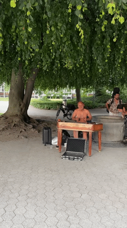 Dulcimer session and lakeside ducks on a Zurich summer afternoon