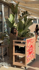Afternoon beach gathering with music performance observed in Tel Aviv