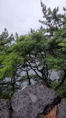 Rainy morning walk along Seogwipo's volcanic coastline, Jeju Island