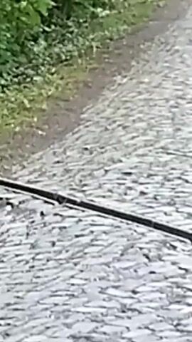 The video shows a close-up view of a cobblestone road with a grassy area on the left. In the foreground, the wiper blade of a vehicle is visible. A small bird is seen hopping on the cobblestone road.