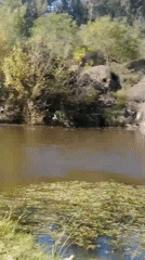 Scenic river views with wildlife captured in Villa Carlos Paz