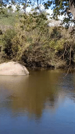 Scenic river views with wildlife captured in Villa Carlos Paz