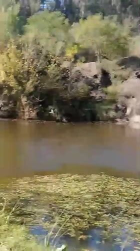 Scenic river views with wildlife captured in Villa Carlos Paz
