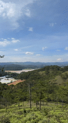 Morning landscape documentation captures Da Lat highlands pine forests