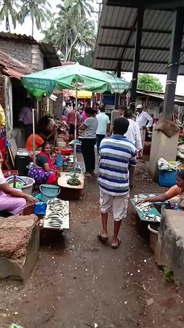 The video shows a bustling fish market in what appears to be a village or small town. Several people are walking through the market. Multiple vendors, primarily women, are seated on the ground or behind low tables displaying fish and other seafood for sale. A green umbrella provides shade over one of the vendor areas. The ground appears to be wet and muddy.  Buildings and vegetation are visible in the background. The overall atmosphere is lively and active.