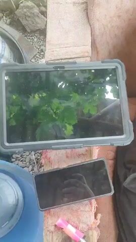 The video shows a tablet and a smartphone lying on a red cloth. The tablet is on top of the smartphone. The screen of the tablet is reflecting green leaves. The screen of the smartphone is black, and a reflection of a hand holding a camera is visible on it. A pink and silver object, possibly a lighter, is placed near the smartphone. The background appears to be outdoors with gravel and a blue container.