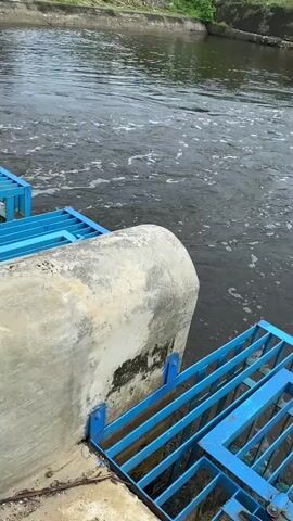 A body of dark, murky water flows past a concrete structure with blue metal grating. The water has a rippling surface with some foam and bubbles. On the left side of the frame, the concrete structure has a rounded edge and is attached to the blue metal grating which forms a cage-like barrier. The grating extends into the water, with some of its bars submerged. The environment appears to be outdoors, with a hint of vegetation visible along the far bank of the water channel. The lighting suggests it is daytime.