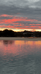 Sunset over Nambucca Heads estuary, pelican and caravans included
