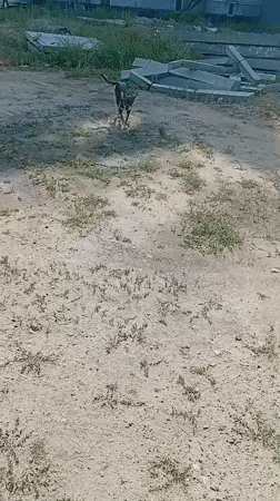 Semey, Kazakhstan