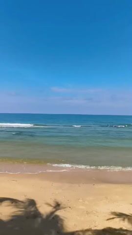 This is a vertical, static shot of a beach on a clear day. The ocean is calm with gentle waves lapping at the shore. The sand is a light tan color, and the shadows of palm fronds are visible in the foreground. The sky is a bright, cloudless blue.