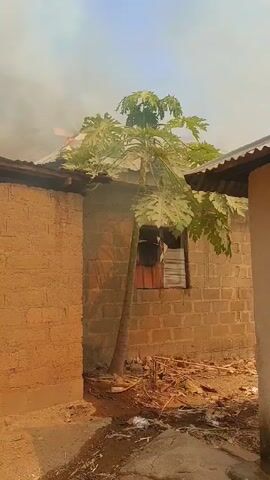 The video shows a fire raging through a building, with smoke billowing into the sky. The building appears to be constructed of brick and has a corrugated metal roof. A small papaya tree stands in front of the building. The ground around the building is littered with debris. A voice speaks in the background. The video seems to have been taken from a distance.