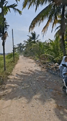Rural Indonesian countryside documented during clear morning hours