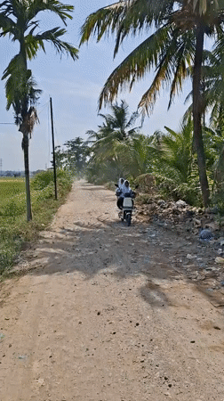 Rural Indonesian countryside documented during clear morning hours