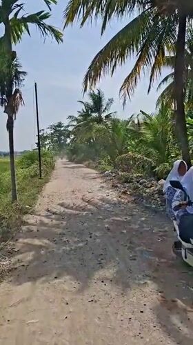 Rural Indonesian countryside documented during clear morning hours