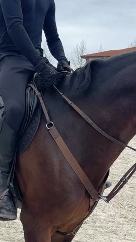 A person wearing black riding attire and a black helmet is riding a brown horse in a white-fenced arena covered in sand. The camera is positioned behind the fence, focusing on the horse and rider as they move. The horse has a black tail and is actively walking around the arena. Buildings with red roofs and white fences are visible in the background. The sky is overcast. The scene appears to be taking place at a riding school or equestrian facility.