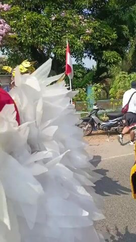 This video shows a parade or cultural procession outdoors. In the foreground, a person in a large, white, feathery costume is partially visible on the left. To the right, a man in traditional attire with a headdress, cape, and what appears to be a staff is looking to the side. Behind him, other participants are seen. One individual wears a white mask with dark hair and a red fringed skirt. Further back, a group of people, predominantly women, are dressed in elaborate costumes with feathered headdresses, colorful skirts, and face paint, some holding Indonesian flags. They appear to be dancing or performing as they move along a paved road lined with trees and vegetation. A motorcycle is parked on the right side of the road. The scene is bright and sunny, suggesting daytime.