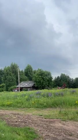 The video shows a rural landscape under a cloudy sky. In the center of the frame is an old, weathered wooden house with a dilapidated roof, partially obscured by lush green trees. In front of the house, a field of tall green grass is dotted with purple wildflowers. To the left of the house, a wooden utility pole stands tall. To the right of the house, a red structure, possibly part of a piece of machinery or a building, is visible amongst the trees. The foreground consists of a dirt path. The sky is filled with heavy, dark clouds, suggesting an impending storm. The overall impression is one of abandonment and nature reclaiming the scene.