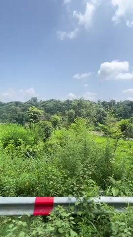 The video captures a view from a moving vehicle, showcasing a lush green landscape under a partly cloudy blue sky. Dense vegetation, including trees and bushes, lines the sides of the frame, with a patch of vibrant green fields visible in the background. The camera pans slightly, offering a dynamic perspective of the natural scenery. The overall impression is one of a peaceful and verdant environment.