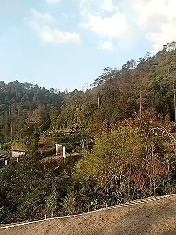 The video captures a landscape of a rural hillside covered in dense vegetation and scattered buildings. The camera pans slowly across the scene, revealing houses with pitched roofs nestled amongst the trees. Some of the buildings appear to be simple dwellings, while others might be more substantial structures. The terrain is uneven, with slopes leading up to a forested mountain in the background. The sky is partly cloudy, suggesting it is daytime. The overall impression is one of a peaceful, secluded community in a natural setting. There are no people visible in the video, and no specific actions are taking place. The focus is on the static environment and the interplay of human settlement and the natural landscape.
