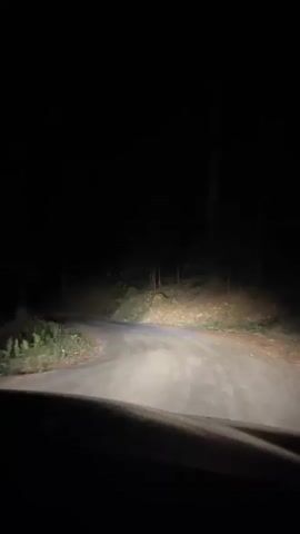 This is a first-person perspective video of driving on a dark, unlit road. The headlights of the vehicle illuminate the asphalt road and the surrounding dense forest, which appears to be on both sides of the road. The trees are tall and dark, with some sparse vegetation visible on the ground. The road is winding and appears to be unpaved or poorly maintained in some sections, indicated by the uneven surface and the occasional loose gravel. The sky is completely dark, suggesting it is nighttime. There are no other vehicles or people visible in the video. The overall atmosphere is dark, quiet, and slightly eerie due to the isolation and the limited visibility.