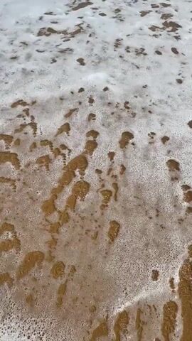 The video begins with a close-up shot of foamy waves receding from a sandy beach. The camera then pans down to show a person's bare feet walking along the wet sand near the water's edge. The person's left foot is more visible, with a red toenail polish. The camera continues to follow the feet as they move towards the camera and then away from it. The environment is a sandy beach with gentle waves.