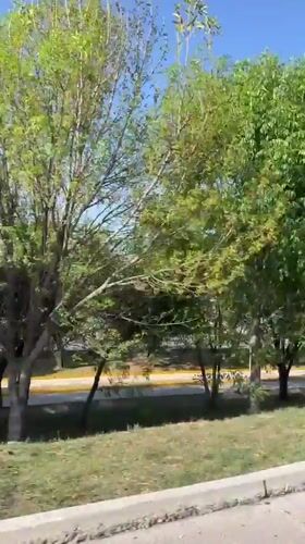 Vehicle passenger records daytime street view in Tlaxcalancingo