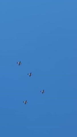 The video shows a clear blue sky with four small propeller airplanes flying in formation. The planes are white with red accents and are arranged in a diamond shape. In the bottom right corner of the frame, a portion of a green leafy tree is visible, with its branches extending upwards into the sky. The perspective is looking up at the sky from the ground.