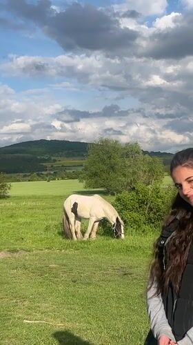 Woman observed in pastoral field with grazing animals in Bulgaria