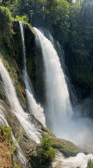 Waterfalls and tropical forest documented in Honduras