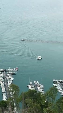 A high-angle drone shot looks down on a harbor with numerous docked boats. A white passenger boat is moving from the upper left of the frame towards the lower right, creating a wake. In the distance, another small boat is visible, and beyond that, a breakwater made of rocks extends into the water. The water is a calm, greenish-blue, with subtle ripple patterns on the surface. Trees and foliage are visible in the foreground, suggesting a hillside overlook. The overall scene depicts a tranquil day at a well-equipped marina.