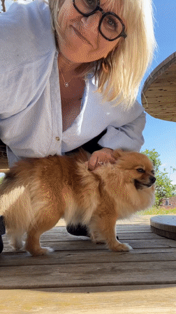 Woman grooms Pomeranian on outdoor deck in Chambœuf