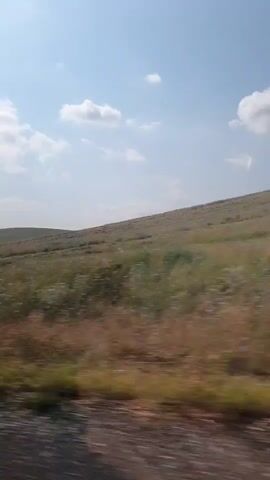 The video shows a time-lapse of a landscape viewed from a moving vehicle. The scene is dominated by rolling hills covered in dry grass and sparse patches of green vegetation. The sky is blue with scattered white clouds. The perspective is from a low angle, suggesting the vehicle is traveling along a road or path at ground level. The motion blur indicates the camera is in constant movement. No people or specific objects are clearly discernible in the landscape, but there are some faint shapes in the distance that could be trees or structures. The overall impression is of a vast, open, and somewhat arid rural environment.