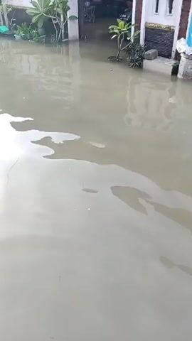 The video shows a flooded residential street. The water is brown and murky, reaching the doorsteps of the houses. Some plants and objects are partially submerged. A car is visible in the distance. The sky is bright, suggesting it is daytime.