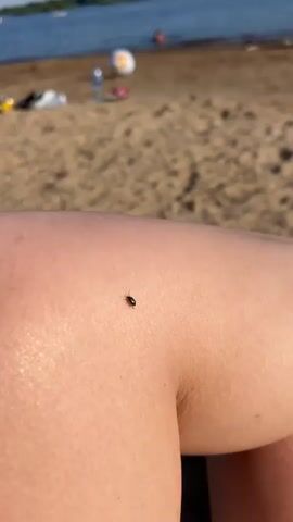 A tiny black insect, possibly a beetle, is crawling on a person's skin, which appears to be a leg due to the rounded contour and texture. The background is out of focus but suggests a sandy beach environment with a body of water and some people visible further away. The lighting indicates it is daytime, likely sunny.