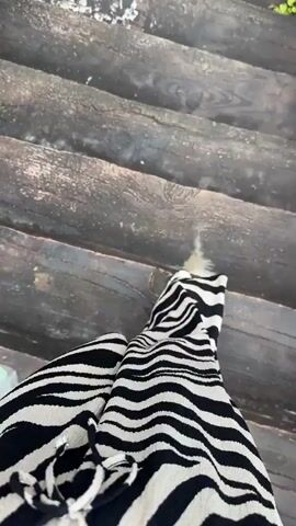 The video begins with a close-up of a person's legs wearing zebra-print pants, resting on wooden steps. The camera then pans up and to the right, revealing a pathway with wooden steps winding down a hillside. Lush green vegetation covers the hillside, with some rock formations visible on the left. As the camera continues to move, a building with a thatched roof and a wooden railing comes into view. Several people are seen walking down the steps and along the pathway. The video then pans further up to show a dense, green forest covering a mountainside. The sky is overcast.