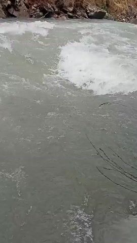 The video shows a close-up, static shot of a fast-flowing river. The water is murky and turbulent, with white foam and ripples indicating the strong current. On the left side of the frame, a rocky embankment covered with dry grass and some brown vegetation is visible. The camera is positioned low, close to the water's surface, and the shot is centered on the swirling water. There are no people or other objects in the frame.
