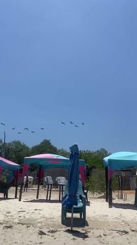 The scene is a beach with a clear blue sky. In the sky, a flock of dark-colored birds is flying in formation. Several beach structures made of wood and fabric are visible, including canopies and umbrellas shading groups of people relaxing in chairs.  A red boat sits on the sand, facing the water. Some trees are on the edge of the beach, providing some green backdrop to the scene. The sand is a light color.  The overall atmosphere is relaxed and summery.