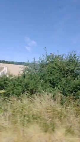 The video shows a view from a moving vehicle, likely a car or train, on a sunny day. The landscape consists of green fields and trees, with a clear blue sky overhead. In the distance, there is a golden field, possibly of wheat, bordered by a line of trees. The camera pans from left to right, capturing the changing scenery. Some tall grass and bushes are visible in the foreground. The overall impression is of a peaceful rural setting.