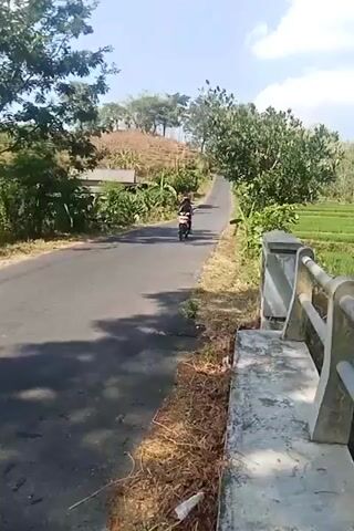 A person rides a motorcycle up a paved road lined with trees and vegetation. The road curves and ascends a hill. The sky is clear and blue.