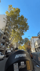 Tattooed motorcyclist rides tree-lined Buenos Aires street