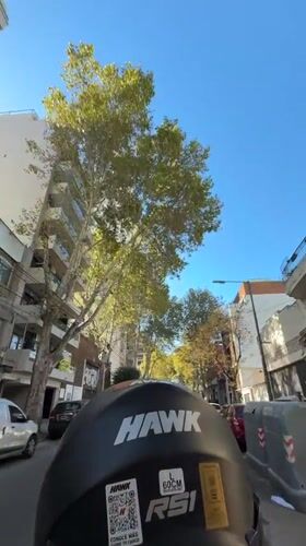 Tattooed motorcyclist rides tree-lined Buenos Aires street