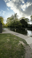 Quiet afternoon moments captured in Colchester park and residential street