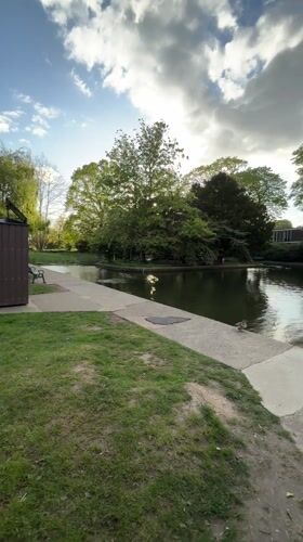 Quiet afternoon moments captured in Colchester park and residential street