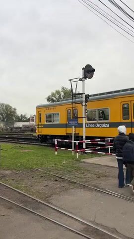 A yellow commuter train, part of the Línea Urquiza operated by Metrovías, moves from right to left across multiple railway tracks under an overcast sky. The train cars are marked with "MU.3900" and "MU.3921" (partially visible) along with "Línea Urquiza" and "Metrovías" branding. A person is partially visible on the right side of the frame, near a red and white striped railway crossing barrier. In the foreground, several sets of railway tracks are visible on a dirt and grassy ground. A railway signal pole stands prominently near the moving train, with a sign on it also bearing the text "Línea Urquiza". Beyond the tracks, there are green grassy areas and trees in the distance. The scene depicts an active railway environment, likely in Sáenz Peña, Argentina, given the train line identification.