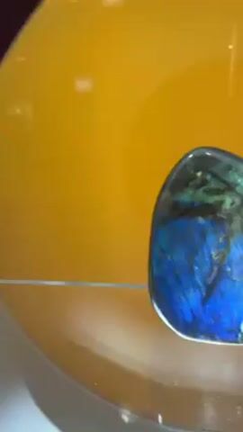 A polished, blue and black labradorite stone sits on a shiny, translucent surface. The background shifts through yellow, green, and red colors.