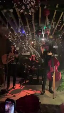 Three musicians perform under a rustic pergola decorated with lights. The musician on the left plays an acoustic guitar and sings into a microphone. In the center, a musician plays a drum kit. On the right, a musician with a goatee plays a red upright bass, also singing into a microphone. The pergola is decorated with lights, greenery and reflective ornaments. A mobile phone films the performance from the front. A red case lies on the floor in front of the upright bass.