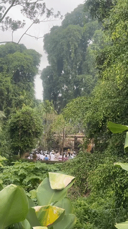 White-clad worshippers gather for temple ceremony in Blahbatuh