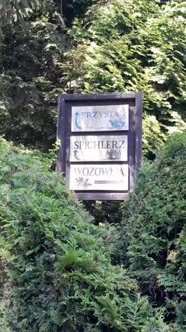 The video displays a sign with three panels, partially obscured by foliage. The top panel features the Polish word "PRZYSTAŃ" with an image of a boat. The middle panel reads "SPICHLERZ" and shows a stylized depiction of a building. The bottom panel has the word "WOZOWNIA" and an image of what appears to be a horse-drawn cart. The sign is mounted on a wooden post and is surrounded by dense green bushes. The lighting suggests it is daytime, likely outdoors.