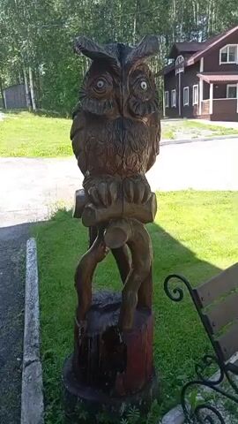 A wooden owl statue is displayed outdoors on a sunny day. The owl is carved with intricate details, perched on a log supported by tree roots, and set on a tree stump. The statue is surrounded by green grass and trees. In the background, a brown wooden house with white trim and a white SUV are visible. A black metal bench with a curved armrest is partially visible in the foreground on the right. The video pans slightly to the right, revealing more of the surroundings.